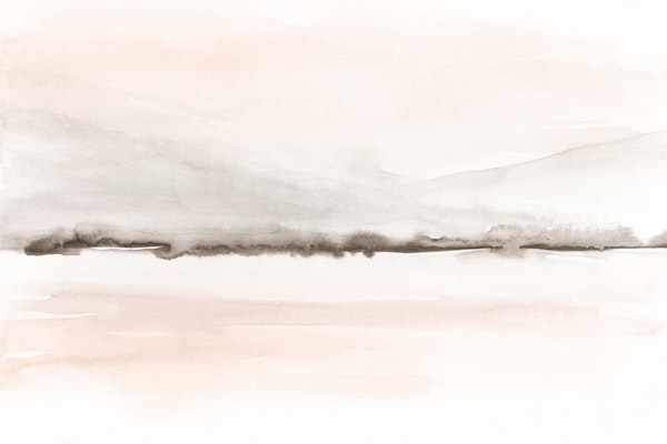 Soft coral and gray mountains