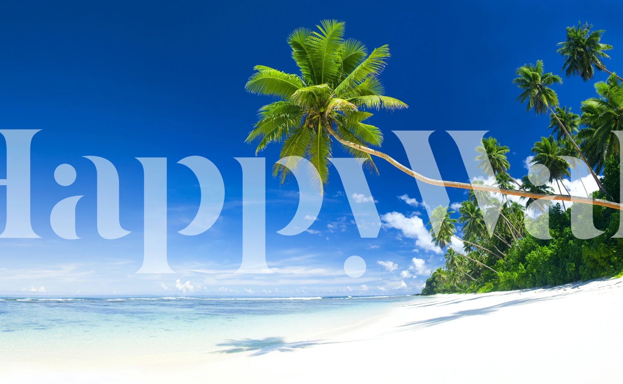 Tropical beach Tapete in einem Zimmer