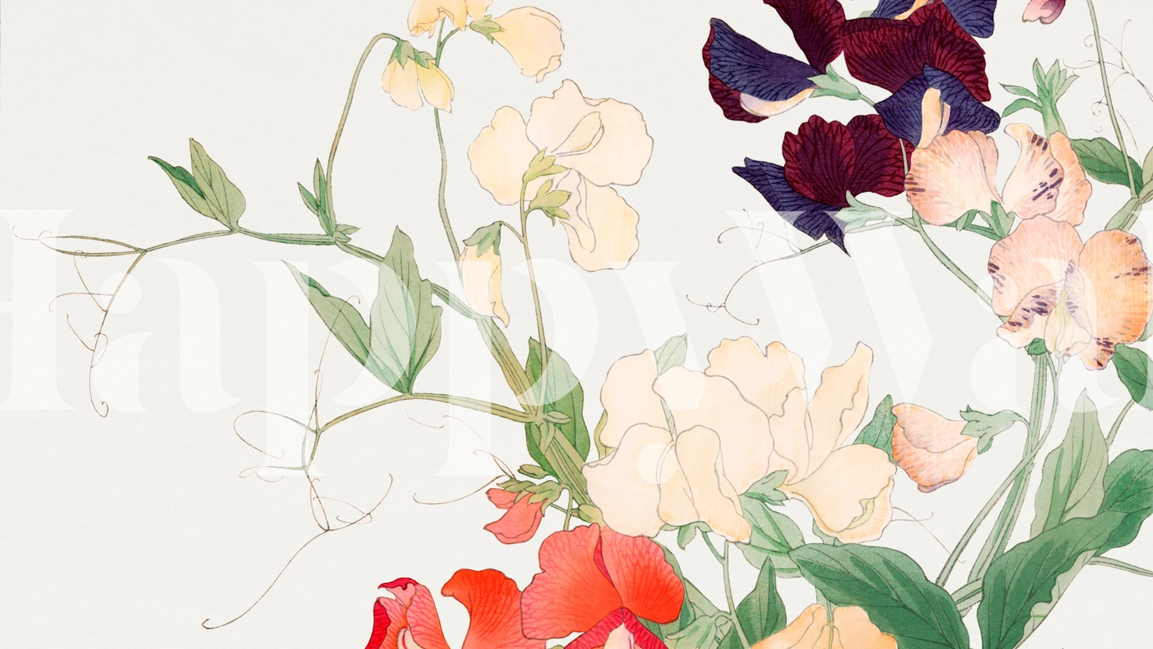 Vintage Romance Flower Floral tapet i et rum