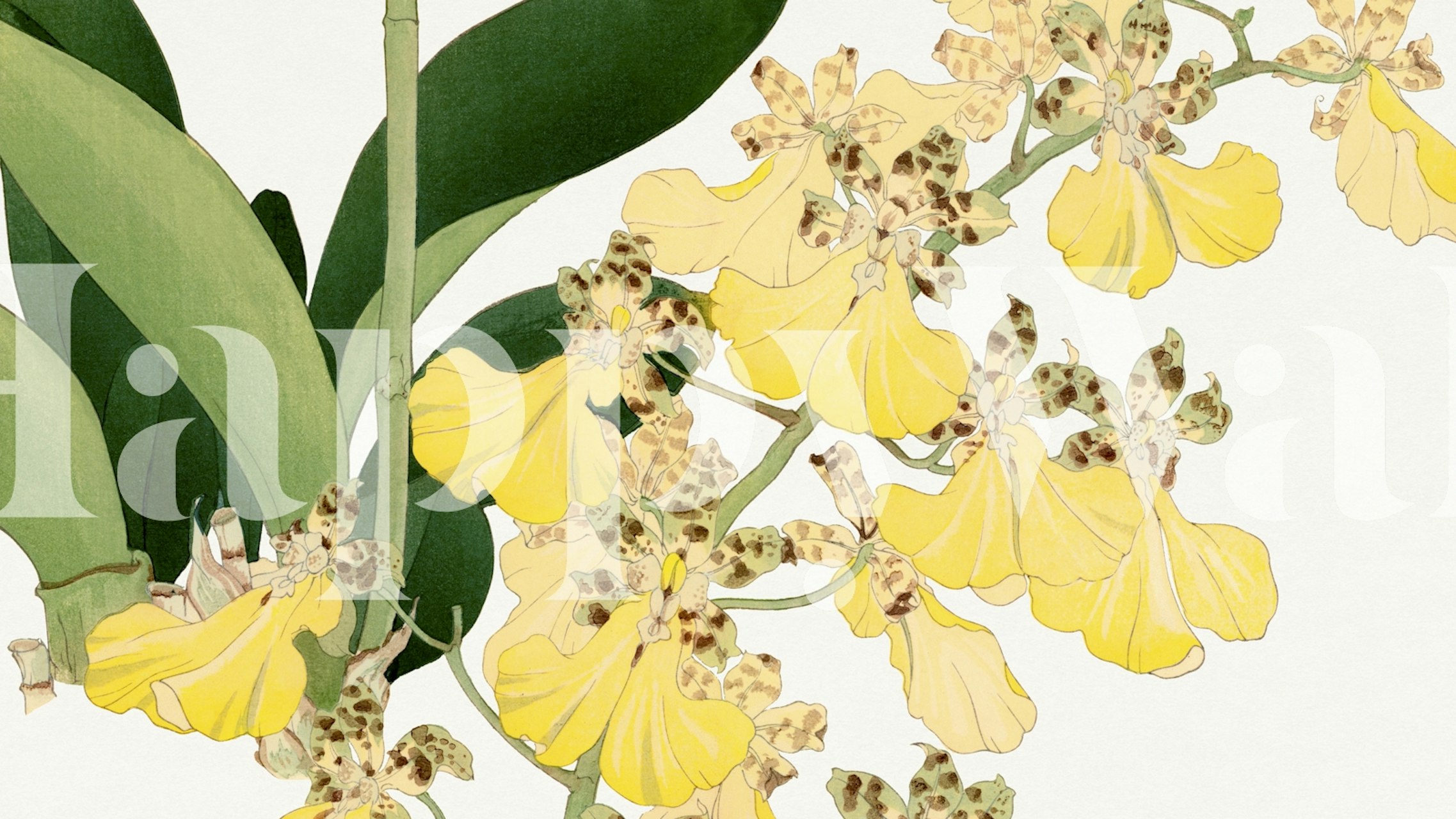 Vintage yellow floral wallpaper with detailed orchid patterns and green leaves.