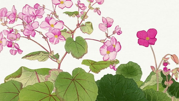 Vintage Chic Flower Floral