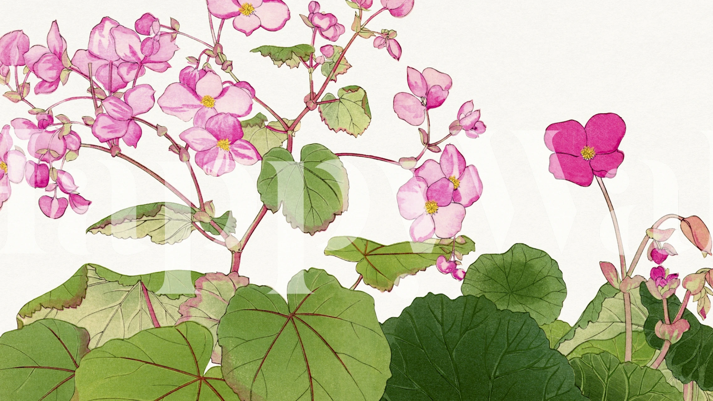 Vintage flower floral wall mural with pastel hues and botanical details