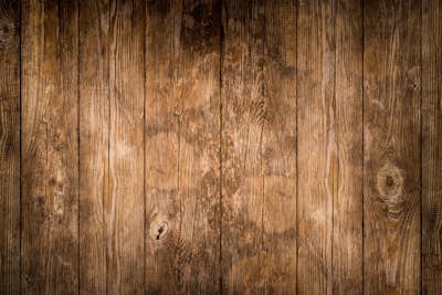 Τοιχογραφία