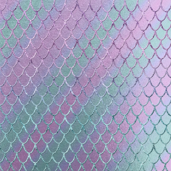 Mermaid Princess Scales 1a