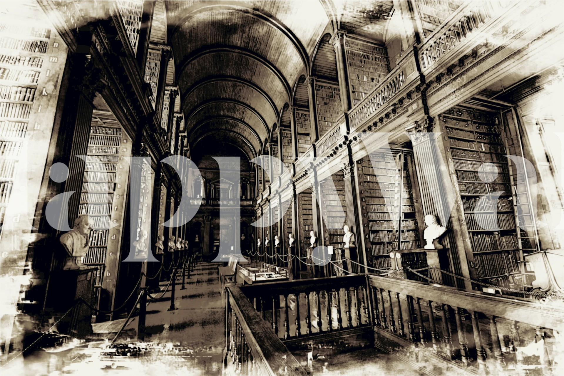 Black and white library interior with shelves and sculptures wallpaper