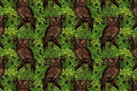 Owls in the oak tree 2 wallpaper