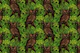 Owls in the oak tree 2