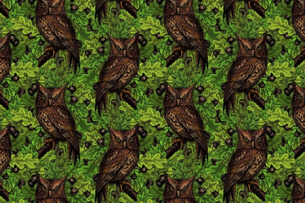 Owls in the oak tree 2