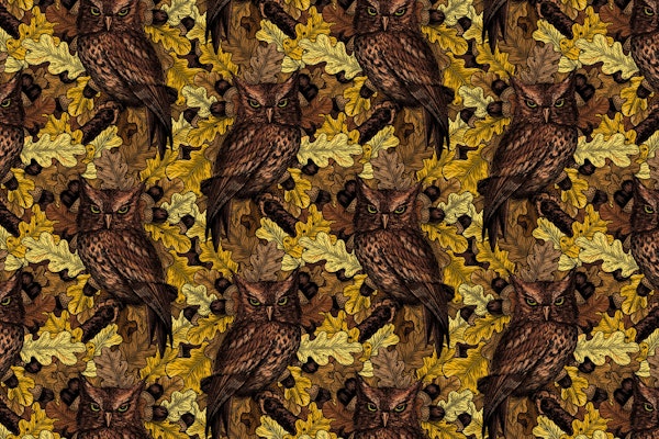 Autumn owls