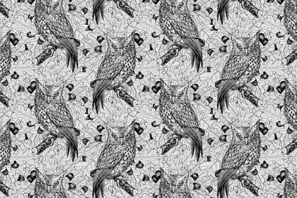 Owls in the oak tree 3