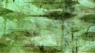 general.design-type-header-mural