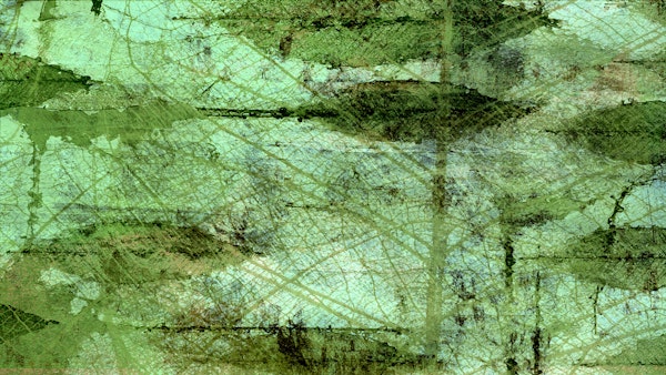 Texture Grunge Forest