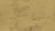 Amber Texture