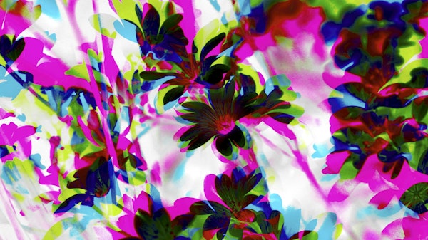 Bright Flower Garden