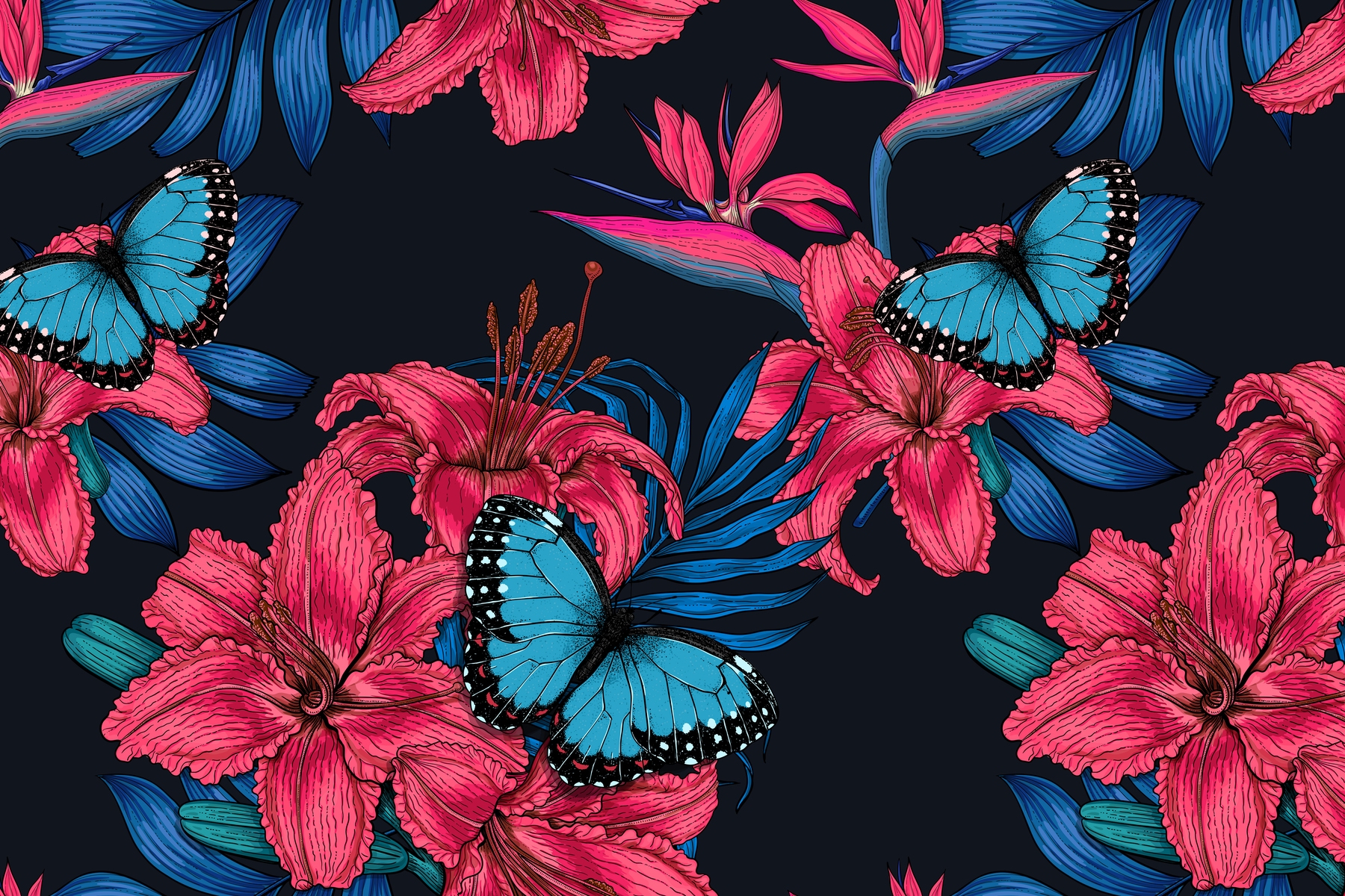 lilium
