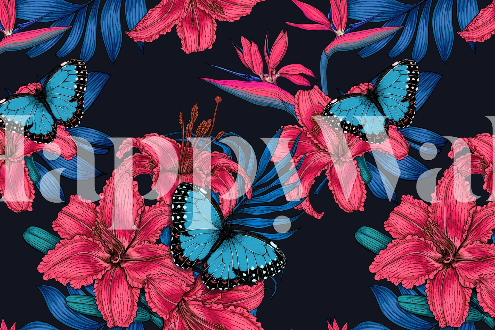 Tropical floral wallpaper with pink flowers and blue butterflies on a dark background