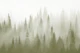 Misty forest basque