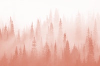 Misty forest love tapet