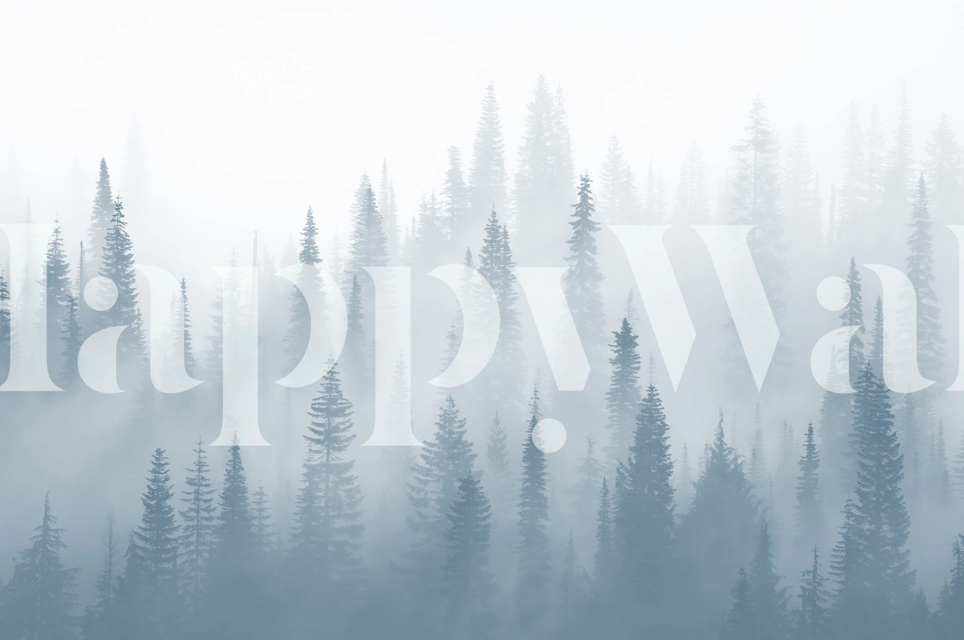 Misty forest landscape with evergreen trees in soft blue hues wallpaper