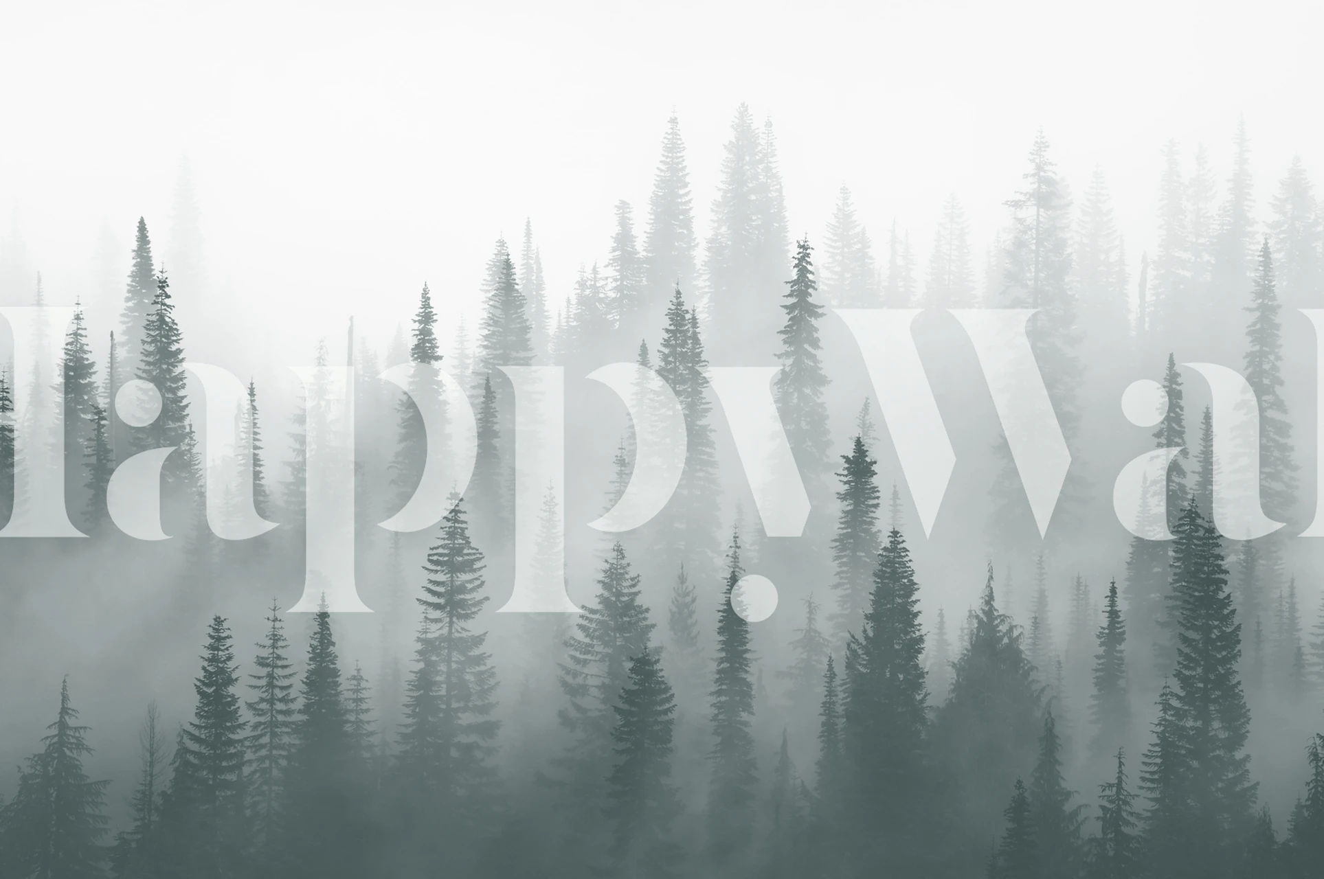 Misty forest scene with evergreen trees and fog wallpaper