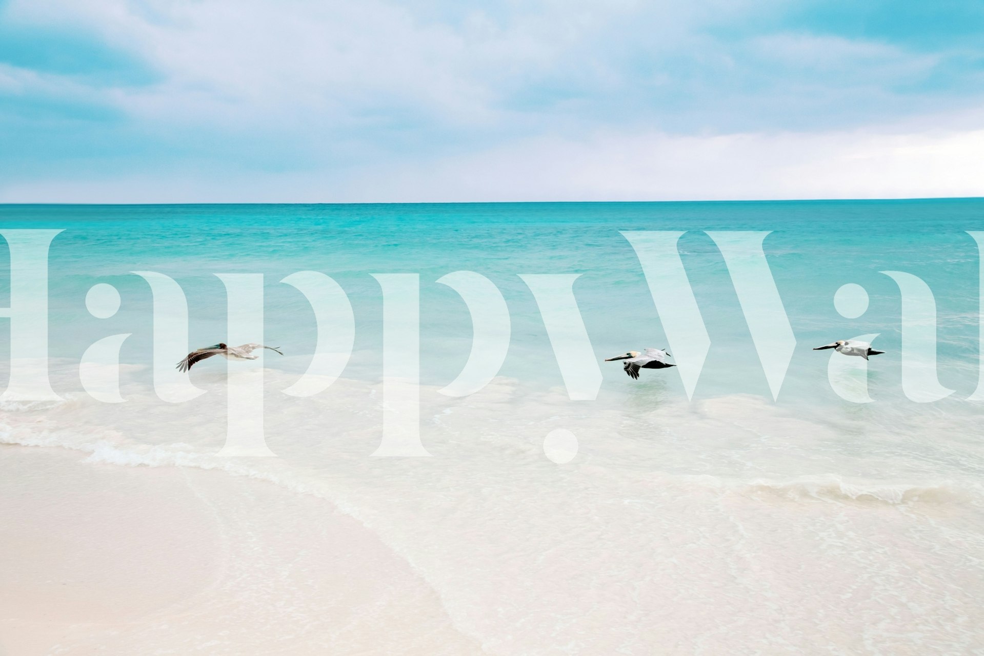 Three pelicans flying over turquoise waters and white sand wallpaper