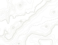 Green topographical map tapete