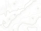 Green topographical map