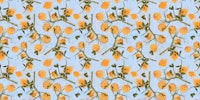 Lemon on blue wallpaper