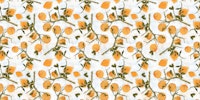 Lemons on white wallpaper