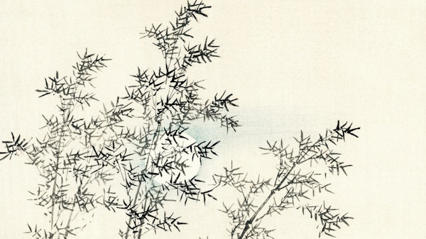 Japan Bamboo Minimalist