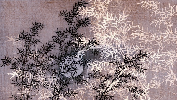 Serene Bamboo Forest View