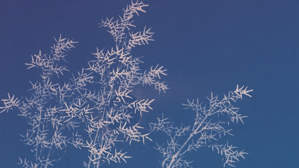 Japan Bamboo on Indigo