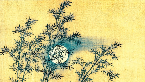 Delicate Japan Bamboo