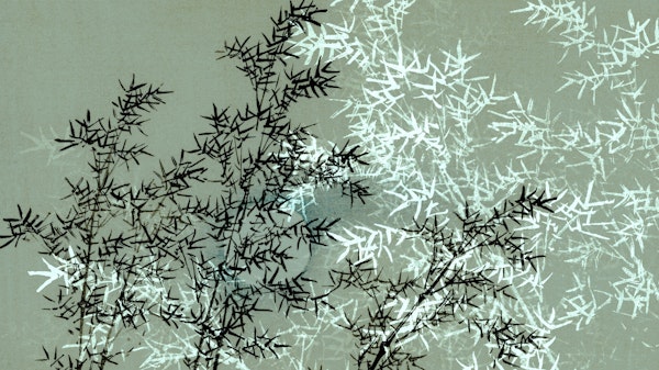 Green Japanese Bamboo