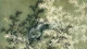 Japanese Bamboo Grunge