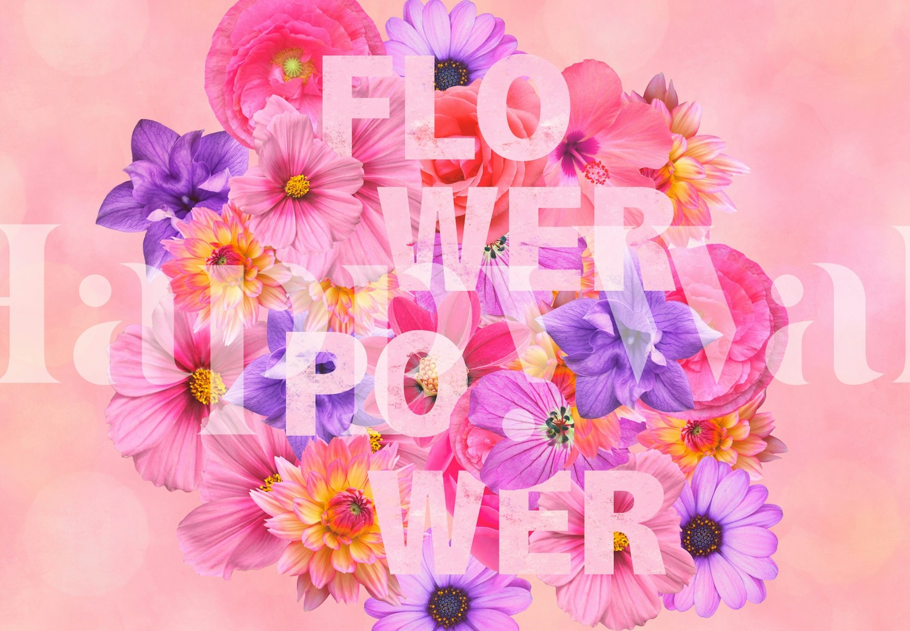 Colorful floral wall mural with Flower Power text