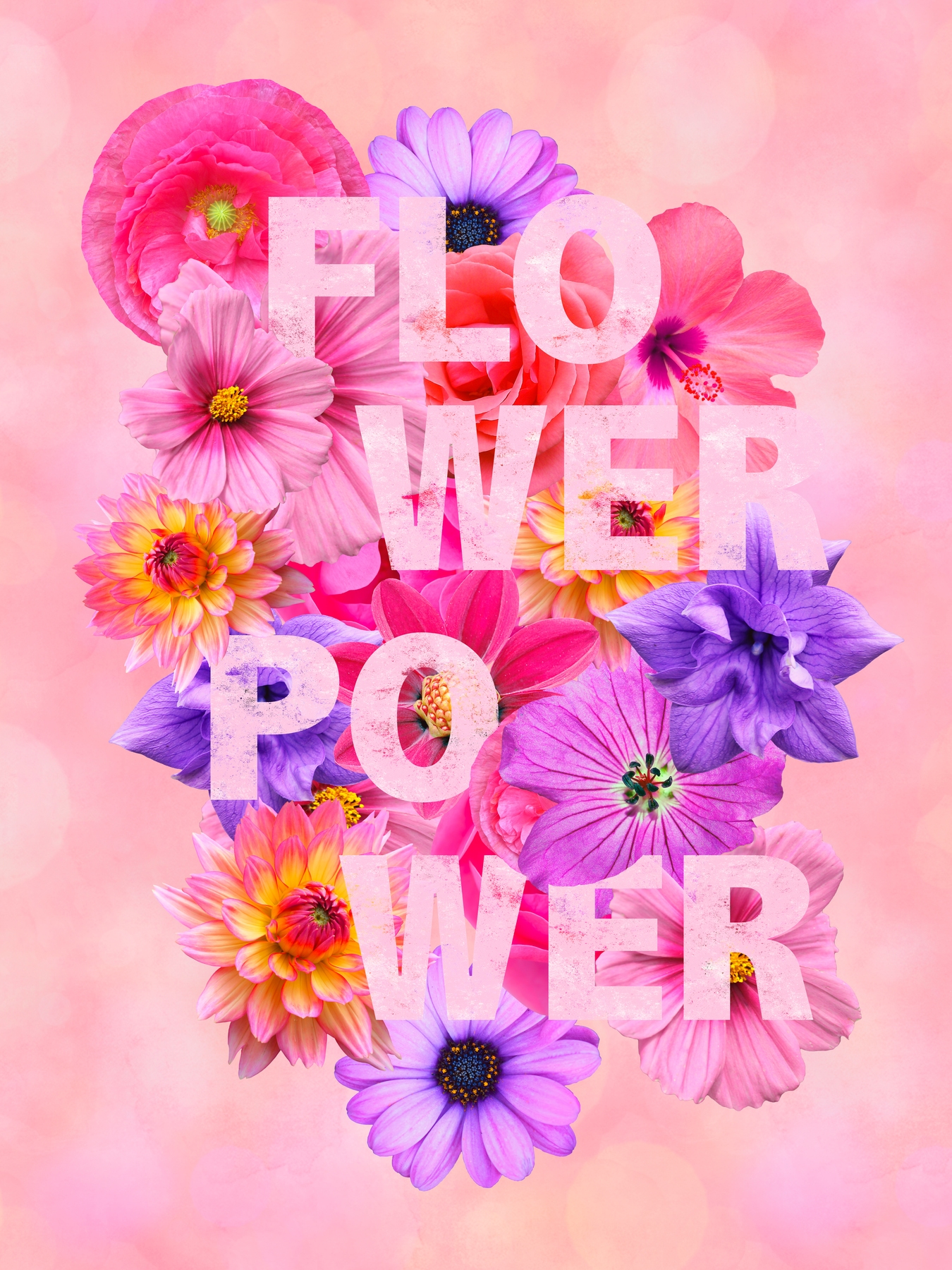 Flower Power Vibe 2 Wallpaper Happywall
