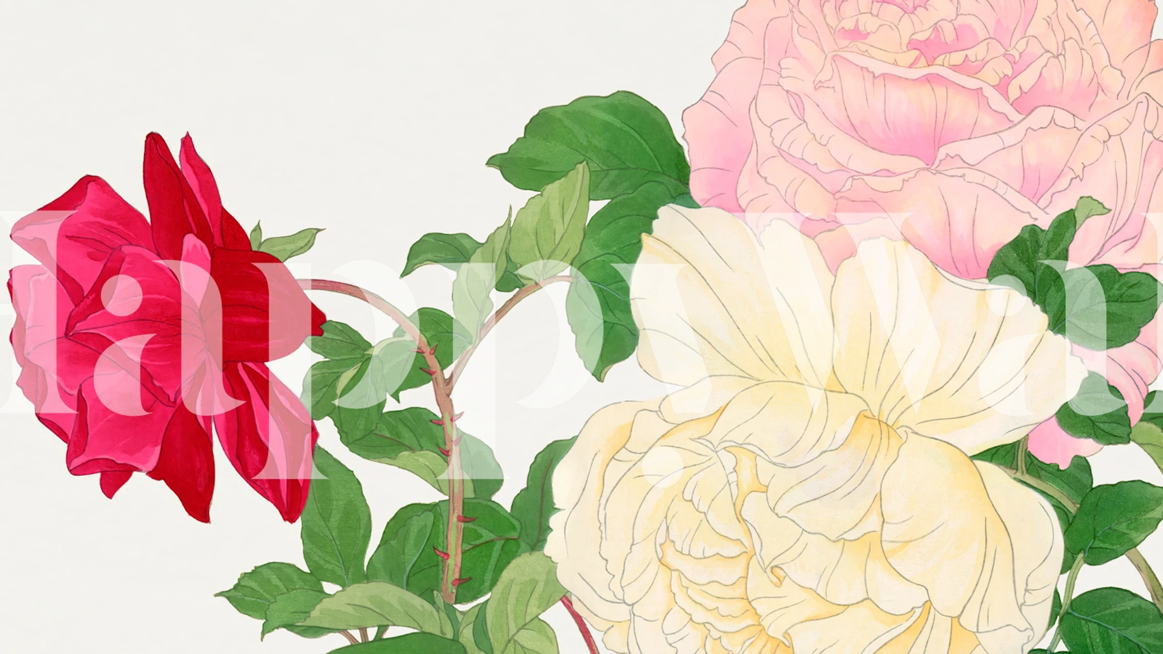 Warm Peonies tapetdesign visas i ett rum