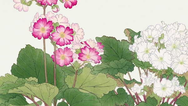 Japan Garden Floral