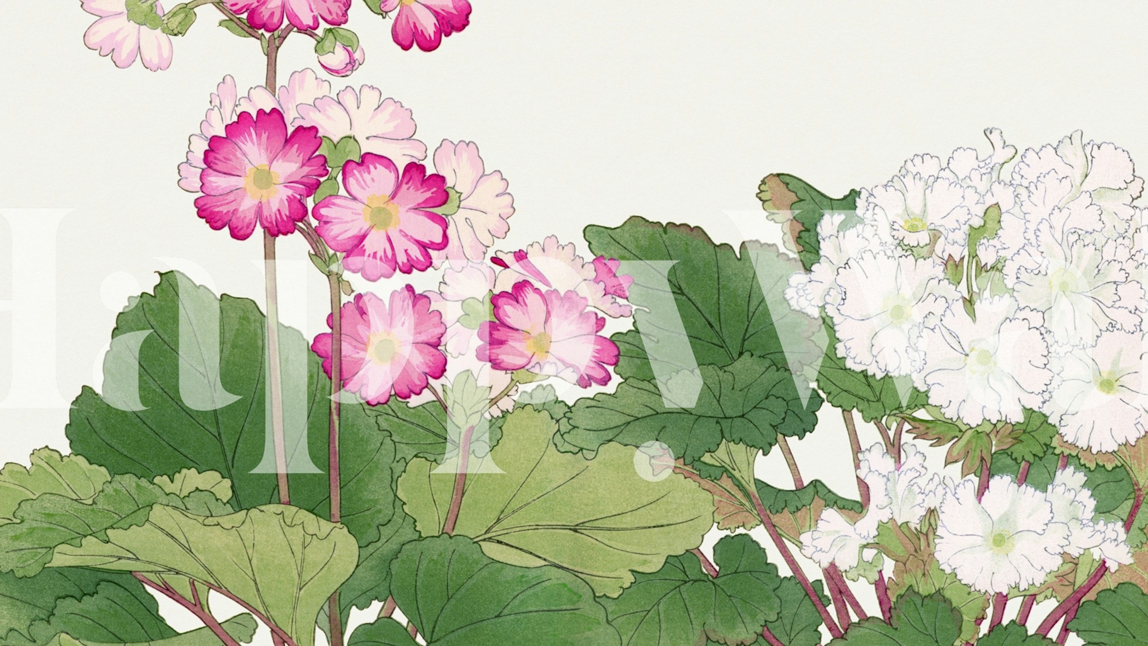 Japan Garden Floral behang in een kamer