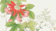 Japan Floral