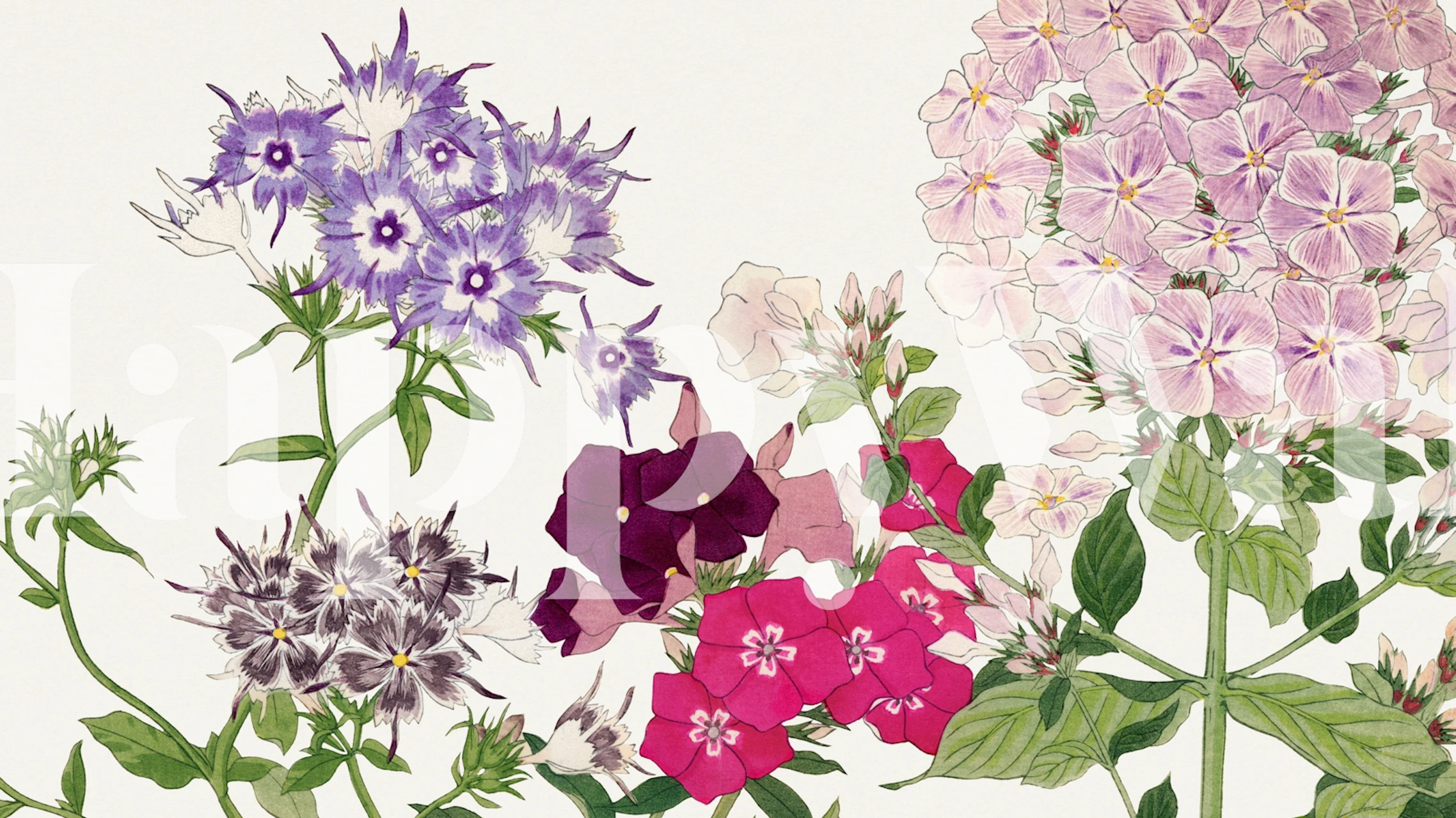 Wzór kwiatowy w pokoju