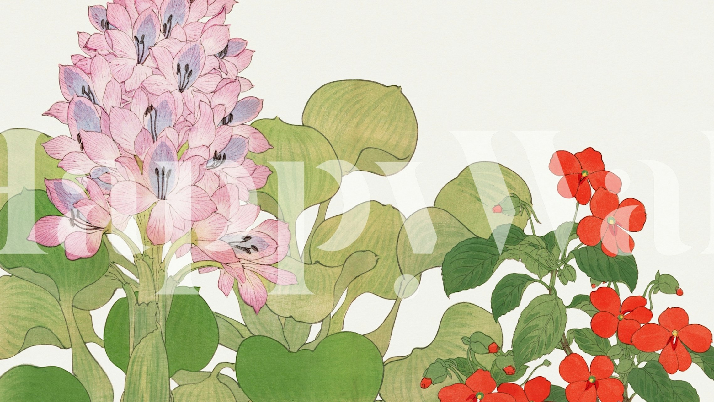 Pink and red tropical flowers with green leaves wallpaper