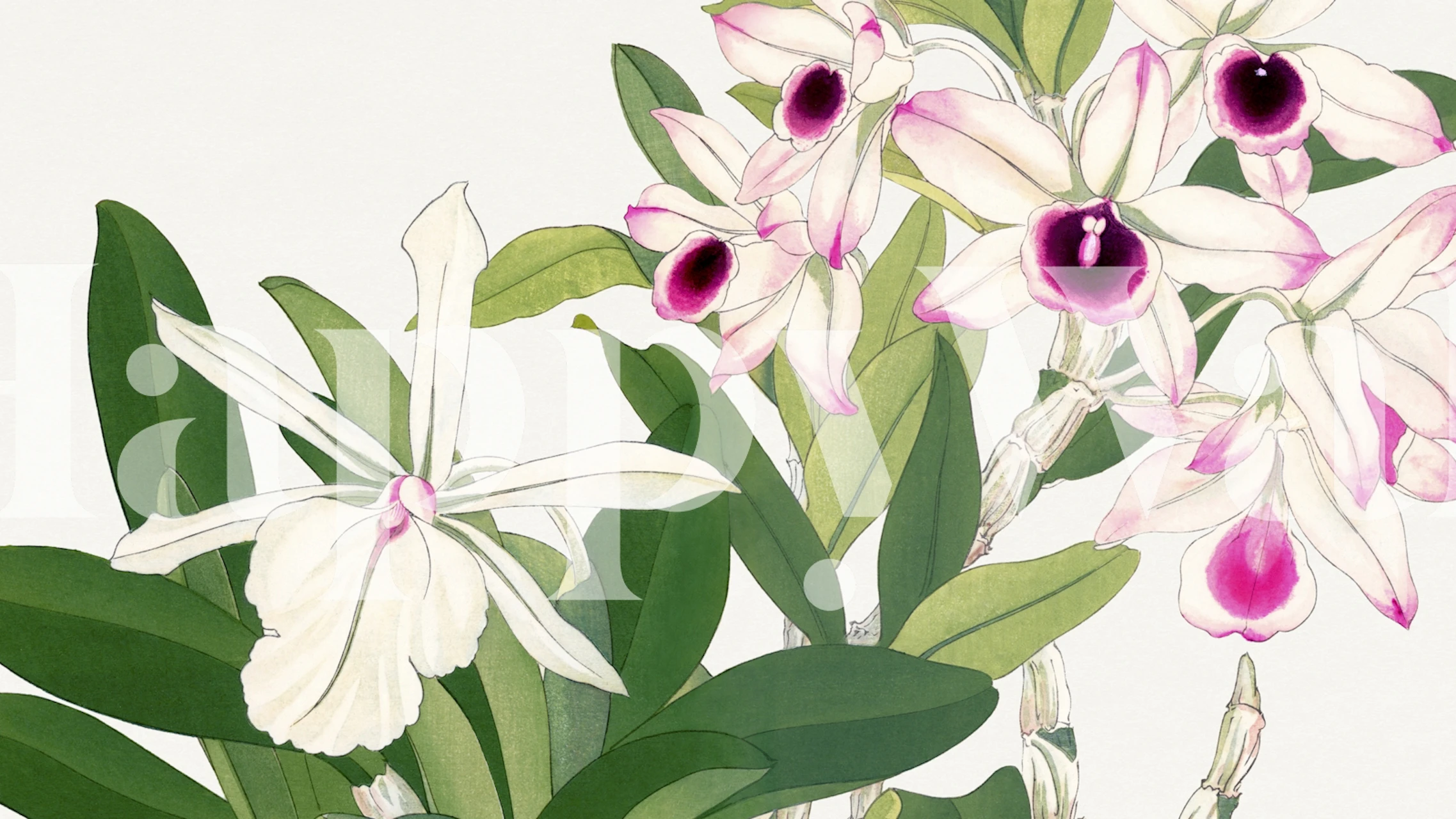 Dreamy Japan Floral tapet vist i et rum