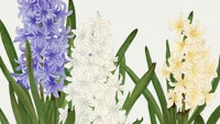 Pastel Japan Floral ταπετσαρία