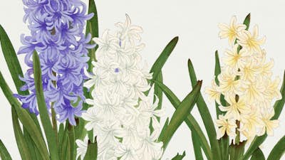 Τοιχογραφία