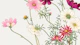 Minimal Japan Floral