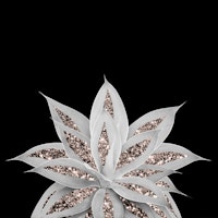 Agave Rose Gold Glitter 2 tapete
