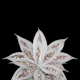 Agave Rose Gold Glitter 2