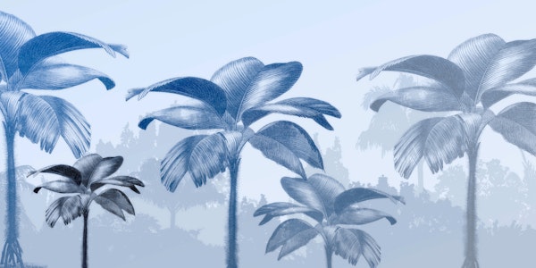 Tranquil Palm Dreamscape